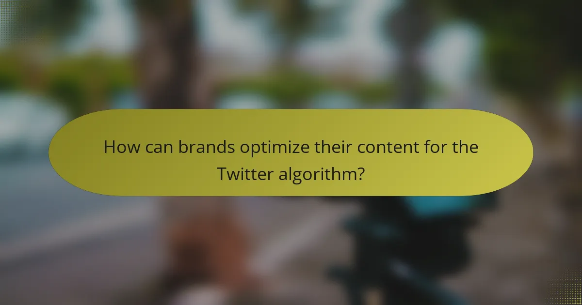 How can brands optimize their content for the Twitter algorithm?