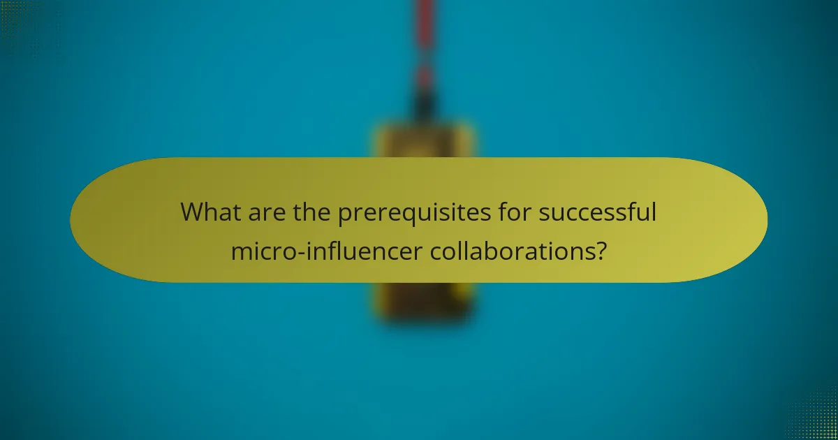 What are the prerequisites for successful micro-influencer collaborations?