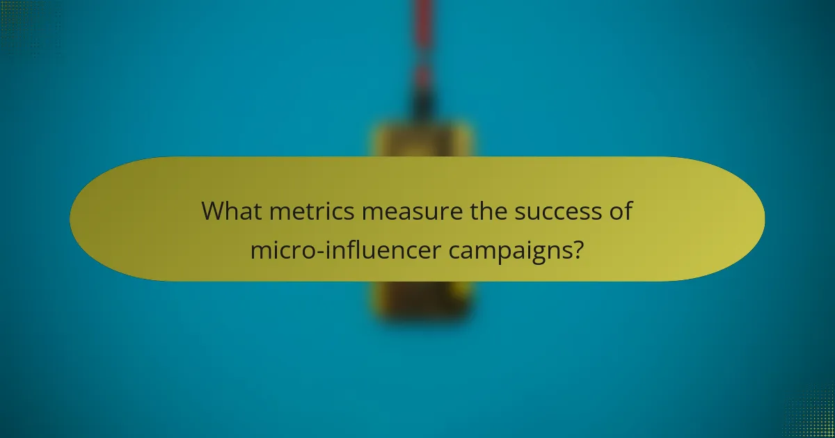 What metrics measure the success of micro-influencer campaigns?