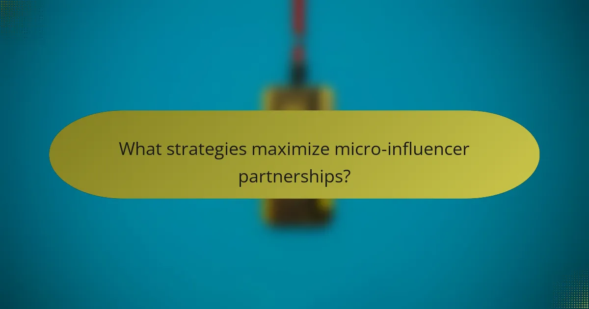 What strategies maximize micro-influencer partnerships?